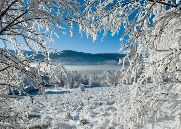 Kras 112 Apartment *